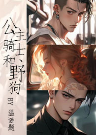 公主vs骑士