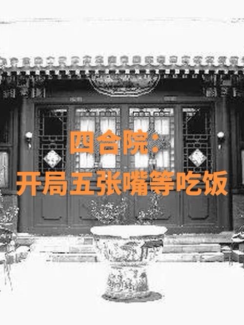 四合院:开局五张嘴等吃饭小说