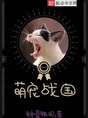 萌宠战西游