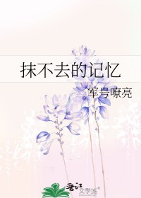 抹不去的回忆