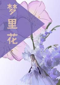 原神梦里花设置要求