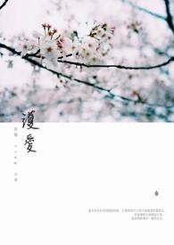 护爱之剑全集有小说吗