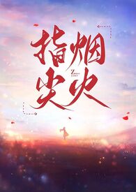 指尖烟火小说